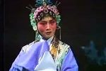 玉蜻蜓搜庵下载