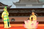 玉蜻蜓