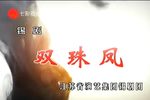 双珠凤 全集下载