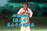 梨花情 全集