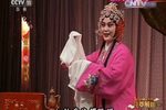 百岁挂帅下载