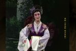 独占花魁下载