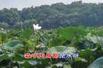 罗英访贤 买你怀抱三滴水下载