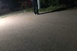 珍珠塔 前见姑下载