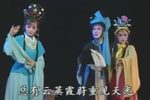 狸猫换太子 2下载
