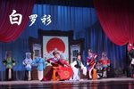 白罗衫下载