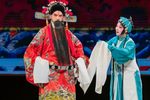 琵琶寿祝寿下载