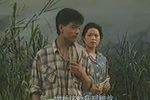 难咽的苦果