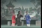 呆子附马 8下载