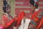 呆子附马 3下载