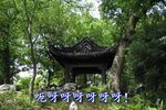 腊月雷下载