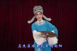 梁祝山伯访友 选段
