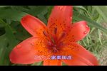 赵五娘 伯喈观画下载
