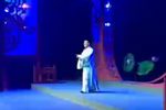 卖油郎独占花槐 选段下载