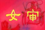 女审 全集下载