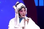 赵五娘书房会 选段下载