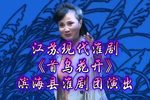 首乌花开 全集