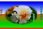 弄潮儿 5