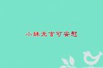 楼台会 选段下载