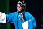 蔡金莲告状 上集下载