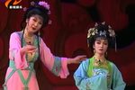莲子 上集下载