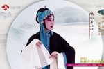 鸿雁传书只见鸿雁腾了空 选段
