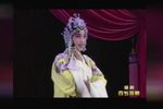 百岁挂帅 全集