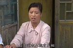 苦命小寡妇 全集