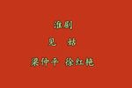 珍珠塔前见姑 选段