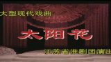 太阳花 全集下载