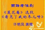 莲花庵看见了我的冬儿呀 选段下载