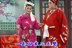 金环记 2下载