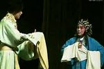 蔡金莲告状 中集下载