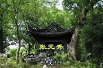 腊月雷下载