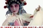 柳燕娘第五场下载