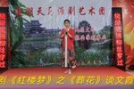 红楼梦 黛玉葬花