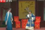 双槐树 一