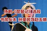 琵琶记/赵五娘