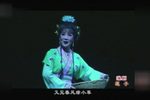 莲子下载