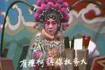 女审审美