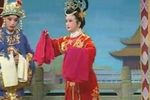狸猫换太子 全集下载