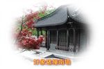 水冰心抗婚 5下载