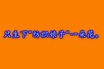 骂灯记 五下载