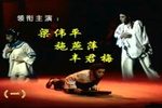 杨乃武与小白菜下载