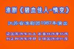 碧血佳人情变下载