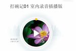打碗记下载