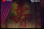 百岁挂帅 全集