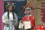 三请樊梨花 九下载