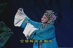 空门贤媳下载