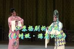 玉蜻蜓游庵认母